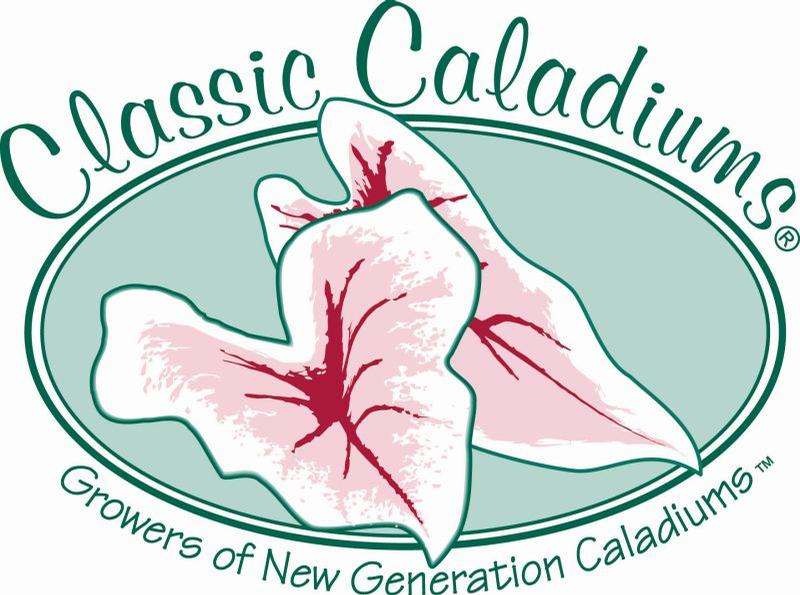 Classic Caladiums logo