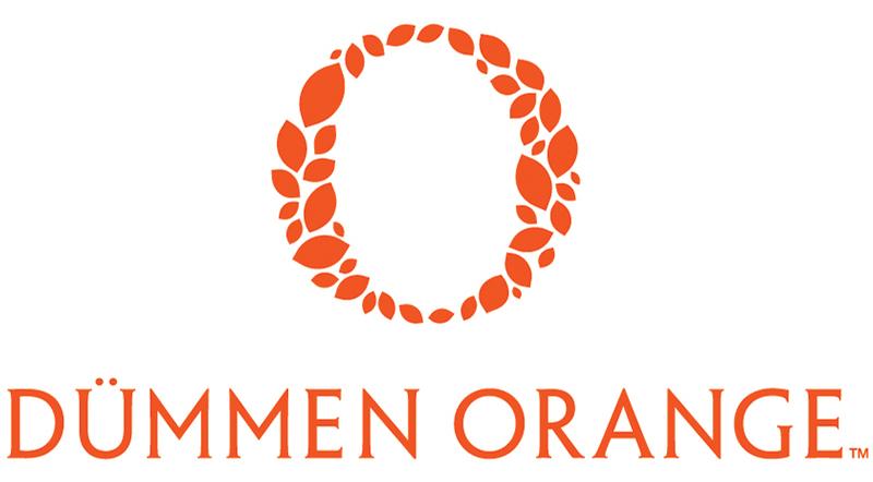 DummenOrange logo