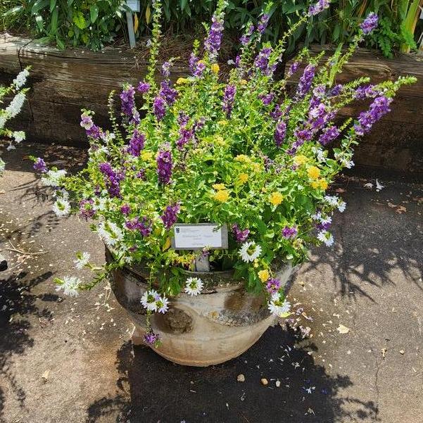 MixMasters™ 'Happy Dance' Image